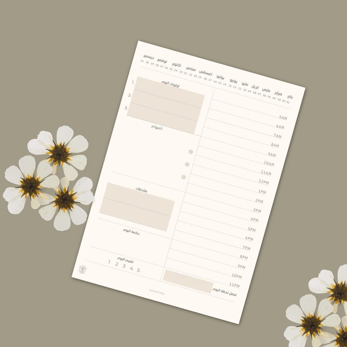 Lana daily Planner   مخطط اليوم- لانا