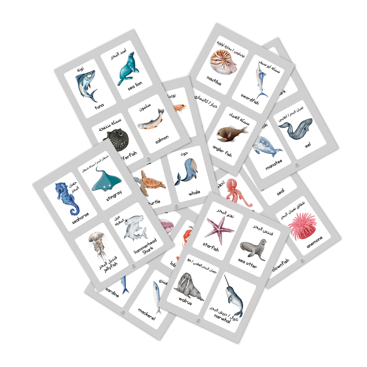 Sea Creatures Flash Cards بطاقات تعليمية للكائنات البحرية